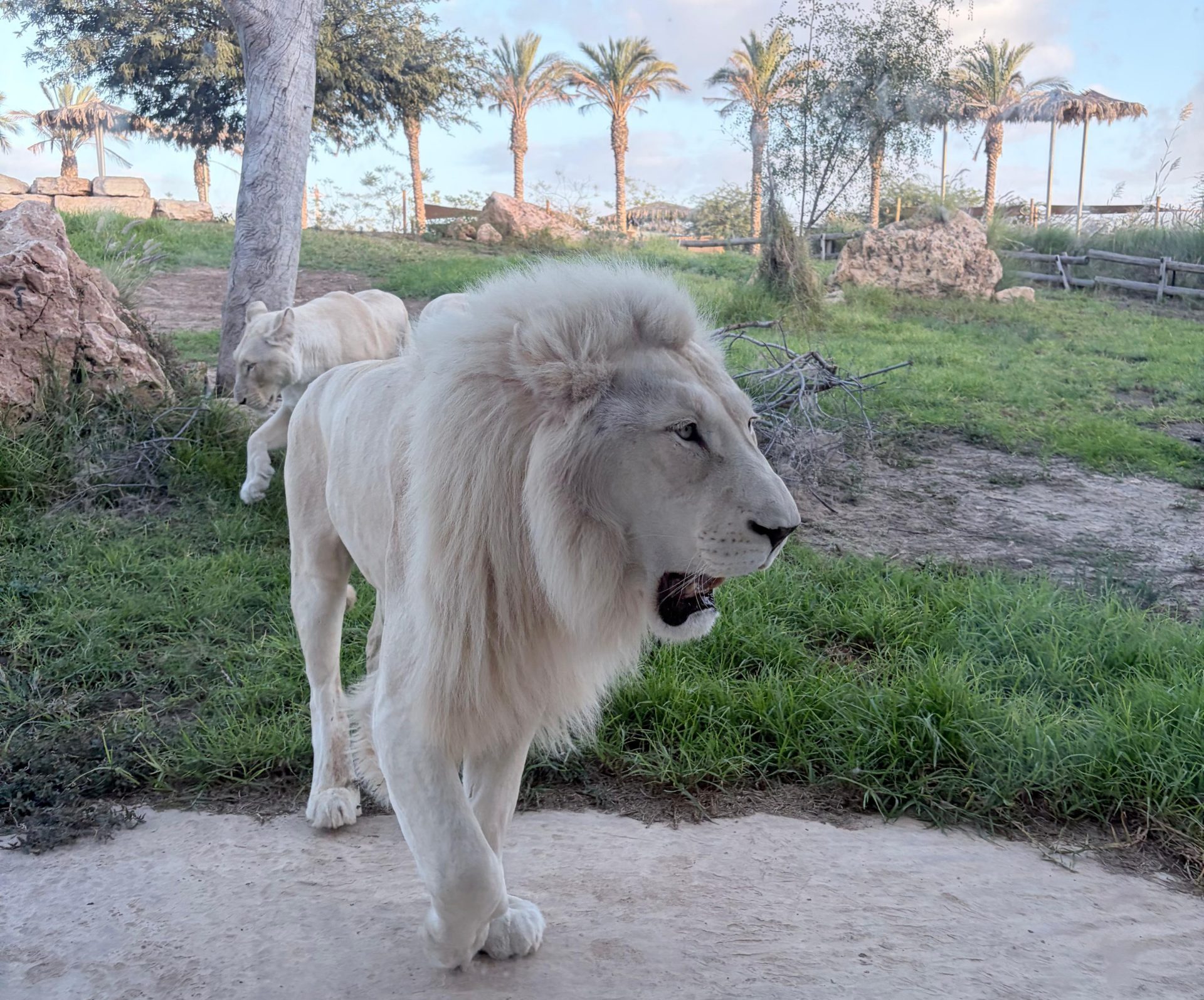 IIn the Footsteps of Patriarchs